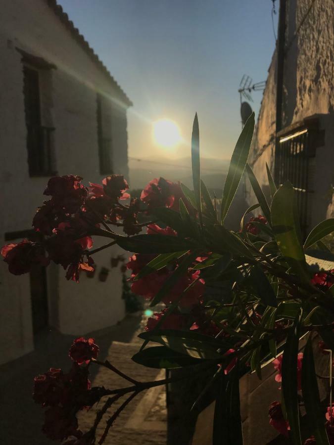 Casa Moraleda Guest House Benalauria ภายนอก รูปภาพ